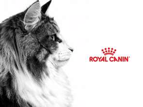 Opus B dla Royal Canin