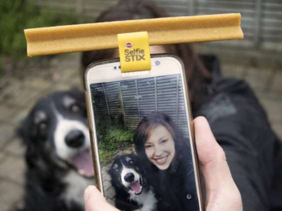 Pedigree namawia do selfie z psem