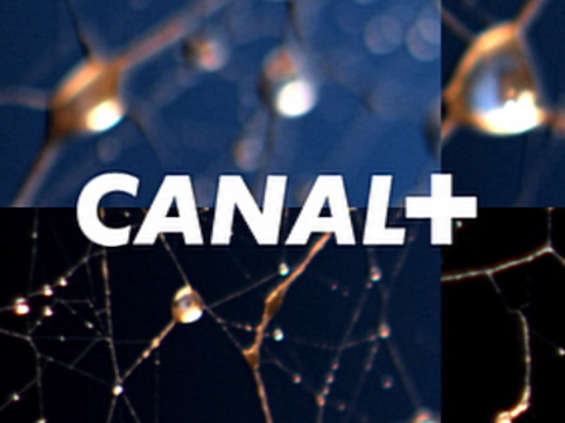 Odwołana sprzedaż akcji Canal+